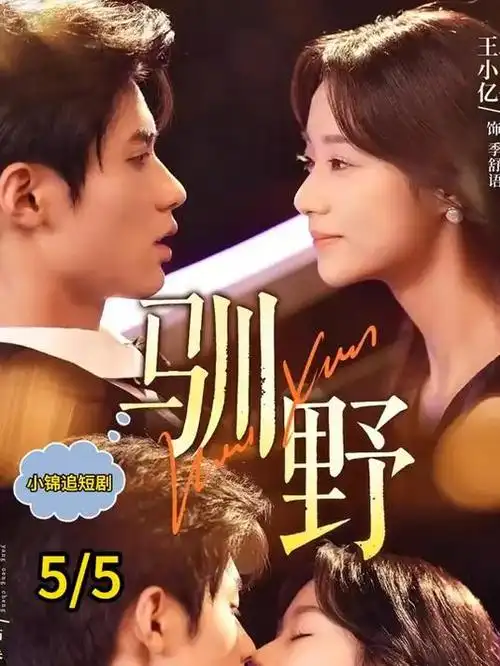 南风知意电视剧档案封面